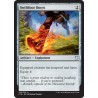 Swiftfoot Boots C18 NM