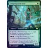 Dragonsguard Elite FOIL STX PROMO NM