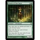 Oracle of Mul Daya ZEN NM