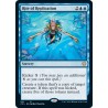 Rite of Replication C21 NM
