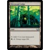 Wirewood Lodge DD1 MP