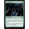 Cryptolith Rite SOI NM