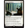 Blind Obedience C16 NM