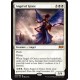 Angel of Grace RNA NM