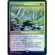 Sterling Grove ETCHED FOIL MH2 NM