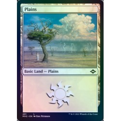 Plains 481 ETCHED FOIL MH2 NM