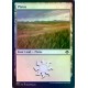 Plains 482 ETCHED FOIL MH2 NM