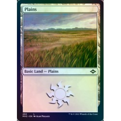 Plains 482 ETCHED FOIL MH2 NM