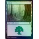 Forest 489 ETCHED FOIL MH2 NM