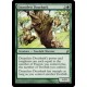 Dauntless Dourbark LRW SP