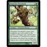 Dauntless Dourbark LRW SP