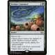 Verdant Command MH2 NM