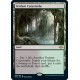 Verdant Catacombs MH2 NM