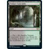 Verdant Catacombs MH2 NM