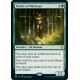 Oracle of Mul Daya JMP NM