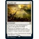 Sigarda's Aid CMR NM