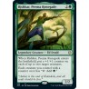 Rishkar, Peema Renegade JMP NM