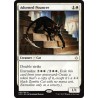 Adorned Pouncer HOU SP+