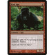 Kird Ape FOIL PROMO MP