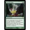 Feed the Pack DKA SP