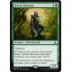 Sylvan Advocate OGW NM
