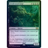 Creakwood Liege FOIL 2X2 NM