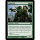 Paleoloth CON SP