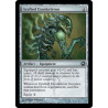 Grafted Exoskeleton SOM NM