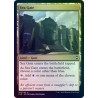 Sea Gate FOIL CLB NM