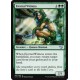 Eternal Witness C15 NM