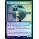 Master Transmuter FOIL 2XM NM