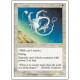 Sunweb 6ED NM