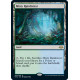 Misty Rainforest MH2 NM