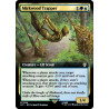 Mirkwood Trapper (Extended) LTC NM