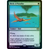 Birds of Paradise FOIL DMR NM