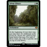 Sylvan Library DMR NM