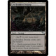 Leechridden Swamp SHM SP