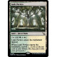 Lush Portico MKM NM