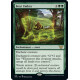 Bear Umbra NEC NM