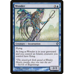 Wonder C13 SP