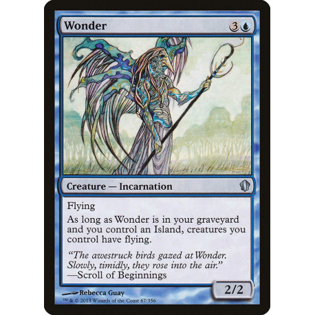 Wonder C13 SP