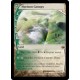 Horizon Canopy FUT NM