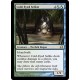 Cold-Eyed Selkie MMA NM