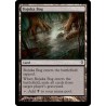 Bojuka Bog WWK NM