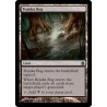 Bojuka Bog CMD NM
