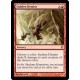 Sudden Demise C13 NM