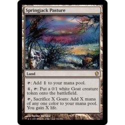 Springjack Pasture C13 NM