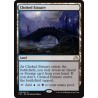 Choked Estuary SOI NM
