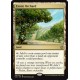 Exotic Orchard CN2 NM