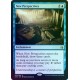 New Perspectives FOIL AKH NM